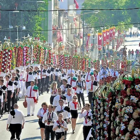 Bairro Flores Апартаменты Томар