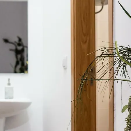 Apartment Bairro Flores