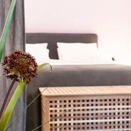 Appartement Bairro Flores *