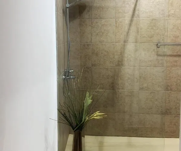 Bairro Flores * 托马尔