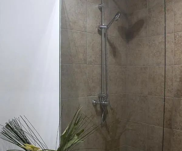 Bairro Flores * 托马尔