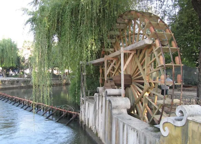 Bairro Flores 托马尔