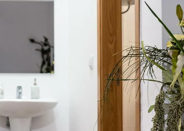 Appartement Bairro Flores