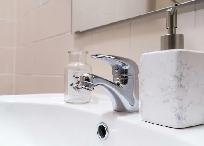 Bairro Flores * 托马尔